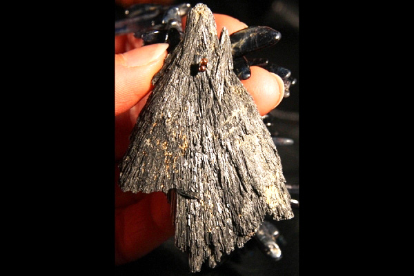 Raw Black and Blue Kyanite Fan Crystal Constellation