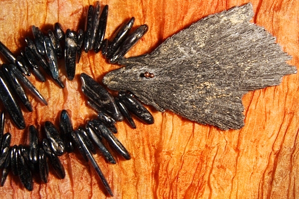 Raw Black and Blue Kyanite Fan Crystal Constellation
